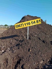 Пропоную машину сипця недорого Одеса та область.